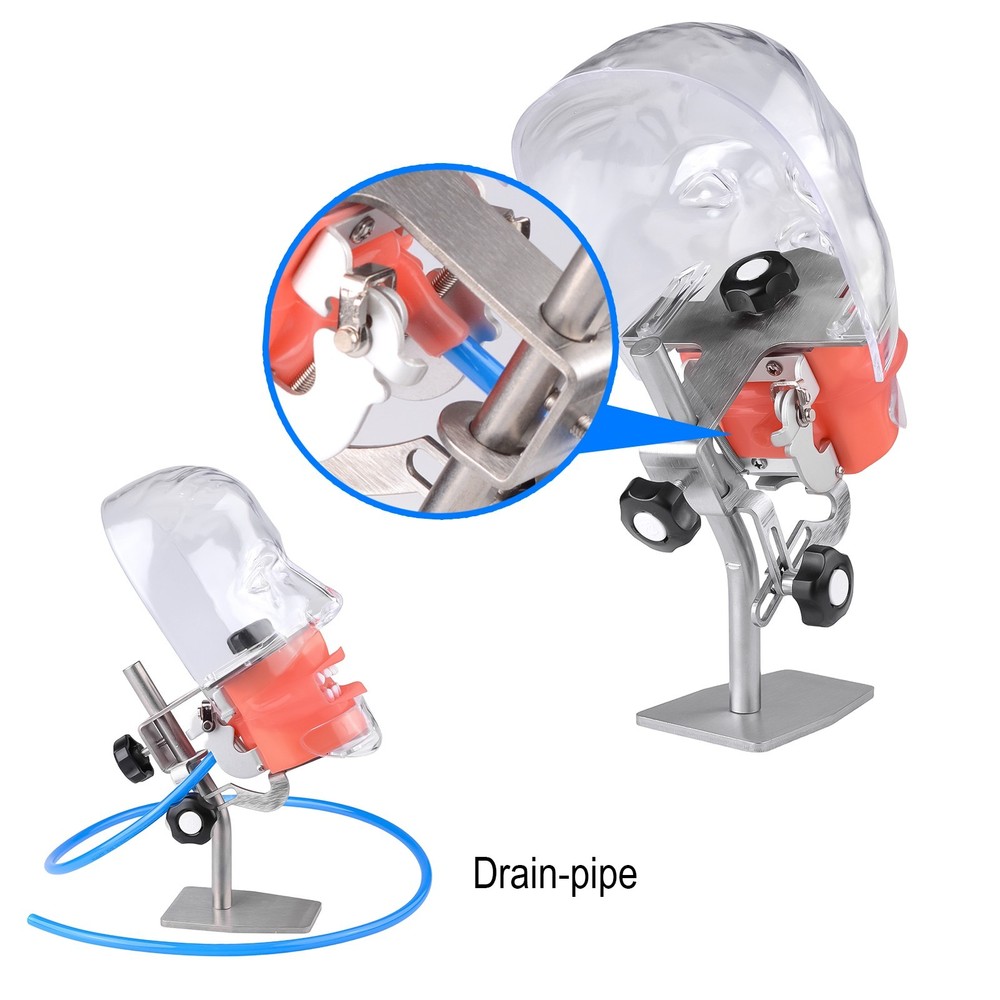 Desktop Dental Manual Manikin Simulator Phantom Head Model for Training Practice