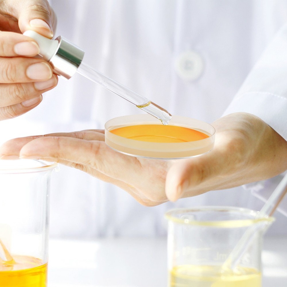 10 Pcs Prepoured Petri Dish Nutrient Agar Plate Extract