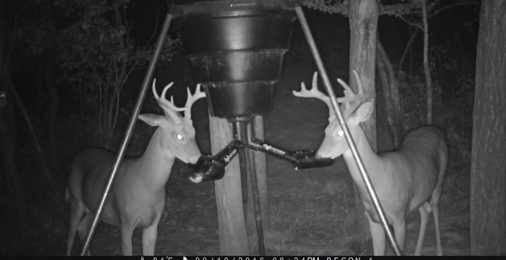 SPYDER Gravity Feeder Attachment