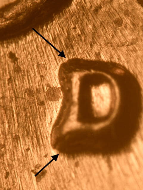 1961-D WRPM#100 D/D Tilted Ch/Gem BU/Uncirculated Red Lincoln Cent Error