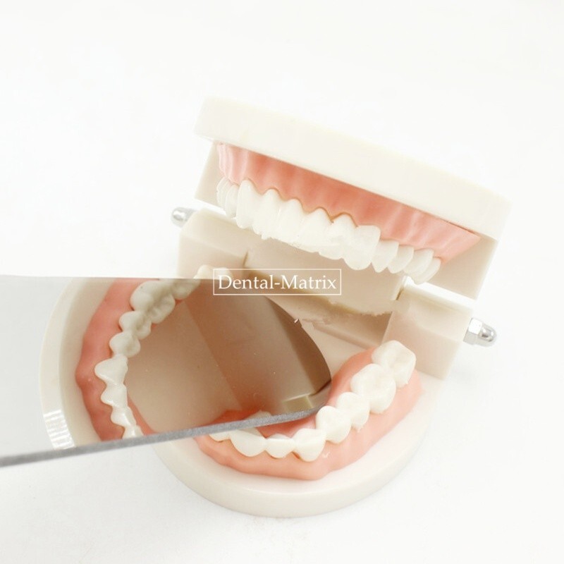 5* Dental Orthodontic Intraoral Photographic Occlusal Double-sided Glass Mirror