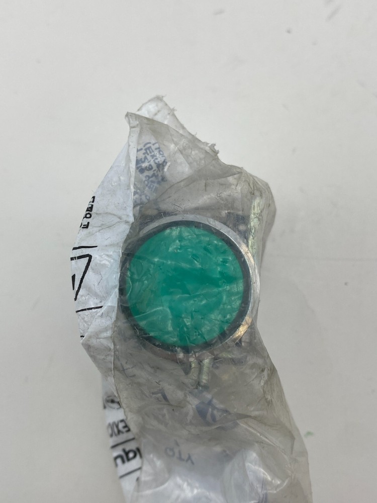 Telemecanique XB4BW13B5 Illuminated Push Button Green