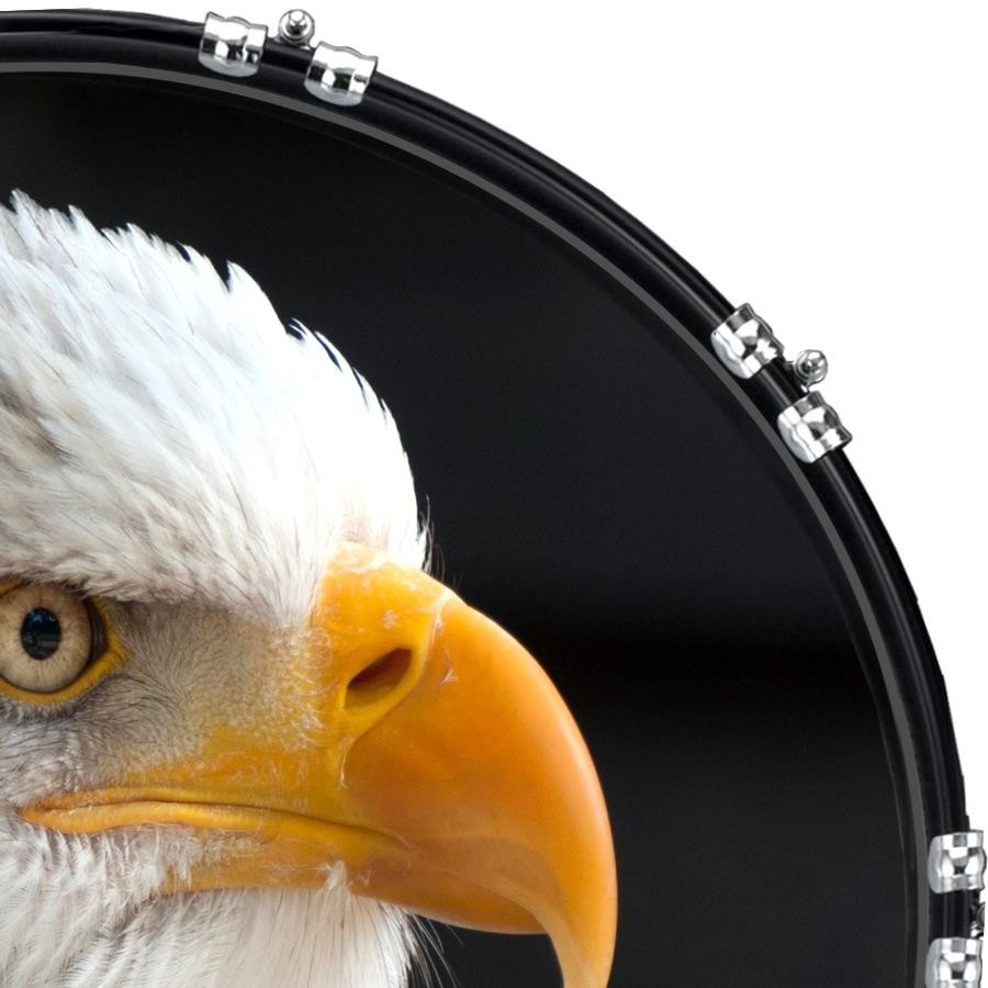 Custom 22" Kick Bass Drum Head Graphical Image Front Skin Bald Eagle 2