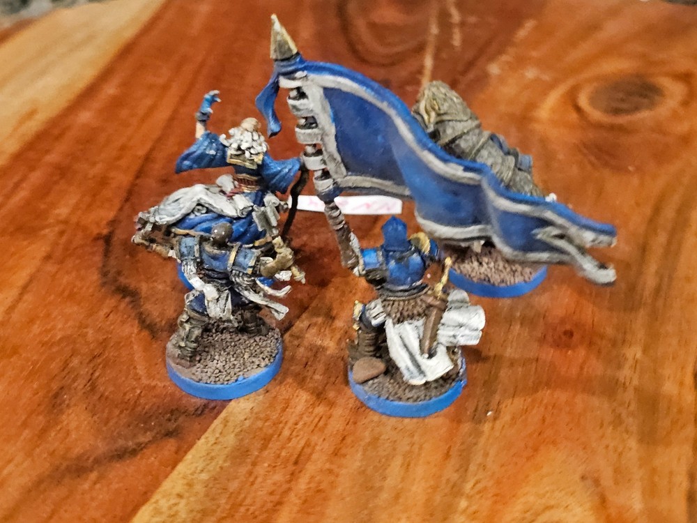 FFG Runewars Miniatures Game Daqan - Infantry Command Unit Expansion Painted