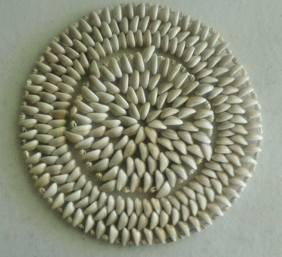 10 ½” Round Seashell Trivet, Kitchen Hot Pad Holder, Sea Shell Beach Nautical