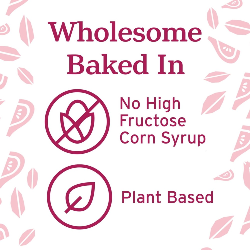 Nature's Bakery Raspberry Fig Bars Snack, 10 Pack, 2 oz Each, Box