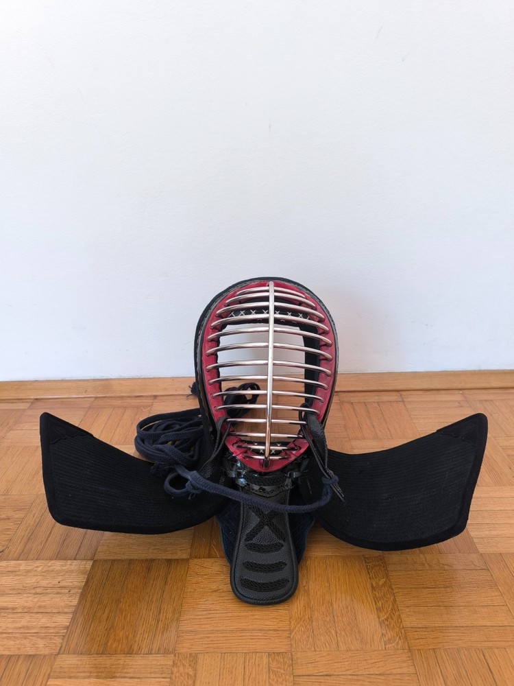 Kendo men and kote