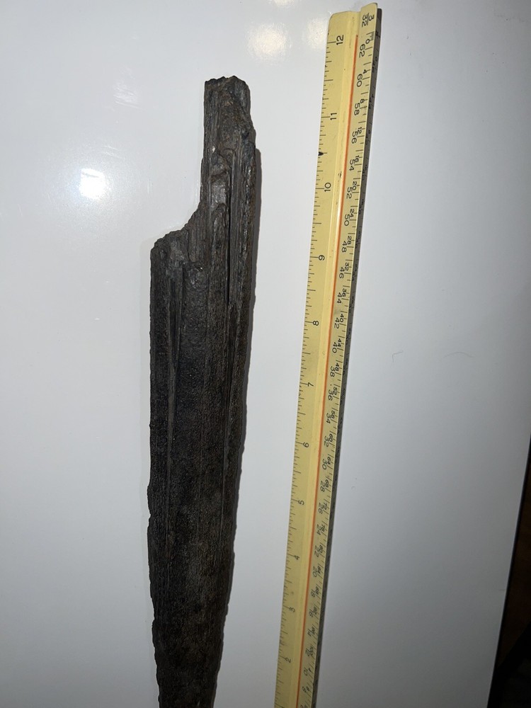 Fossilized swordfish bill