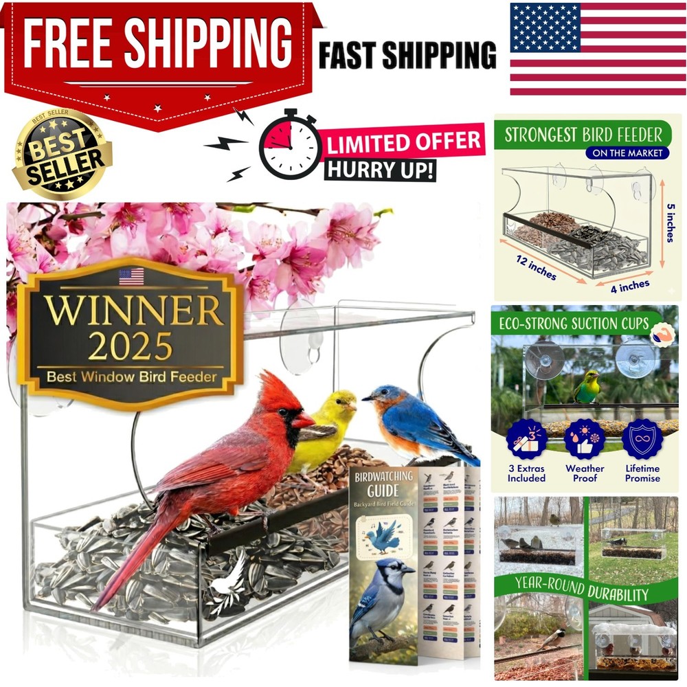 Unobstructed Birdwatching: Large Acrylic Window Feeder with Comfortable Perch