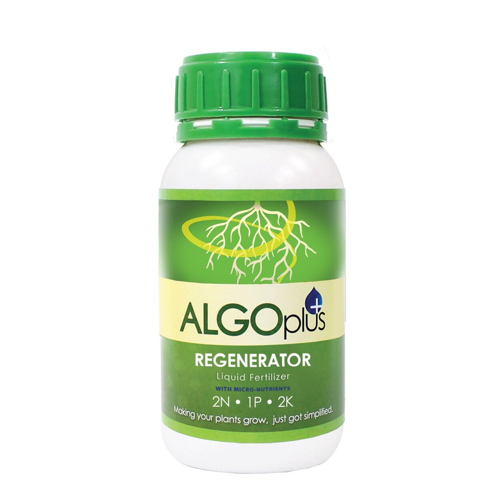 Algoflash AlgoPlus Regenerator