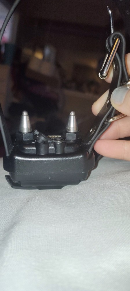 MINI EDUCATOR ET COLLAR -RX–090