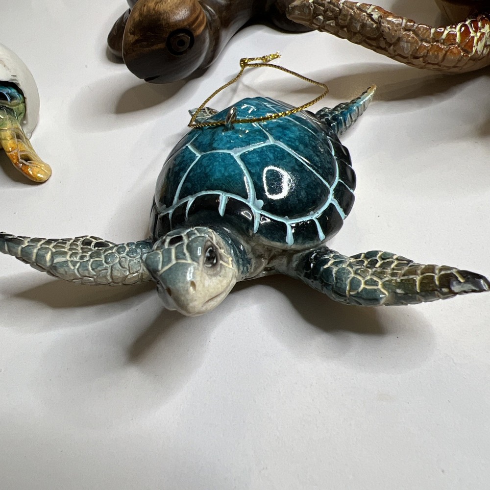 Turtles 5 Pieces Sea Turtles