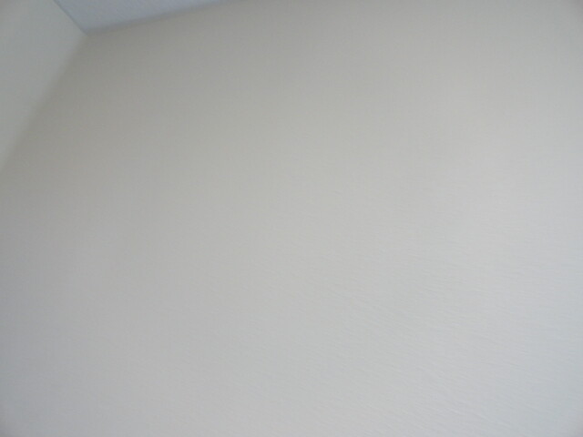 BB6: Original ELMO RCW-402 VISUAL Overhead Presenter Remote