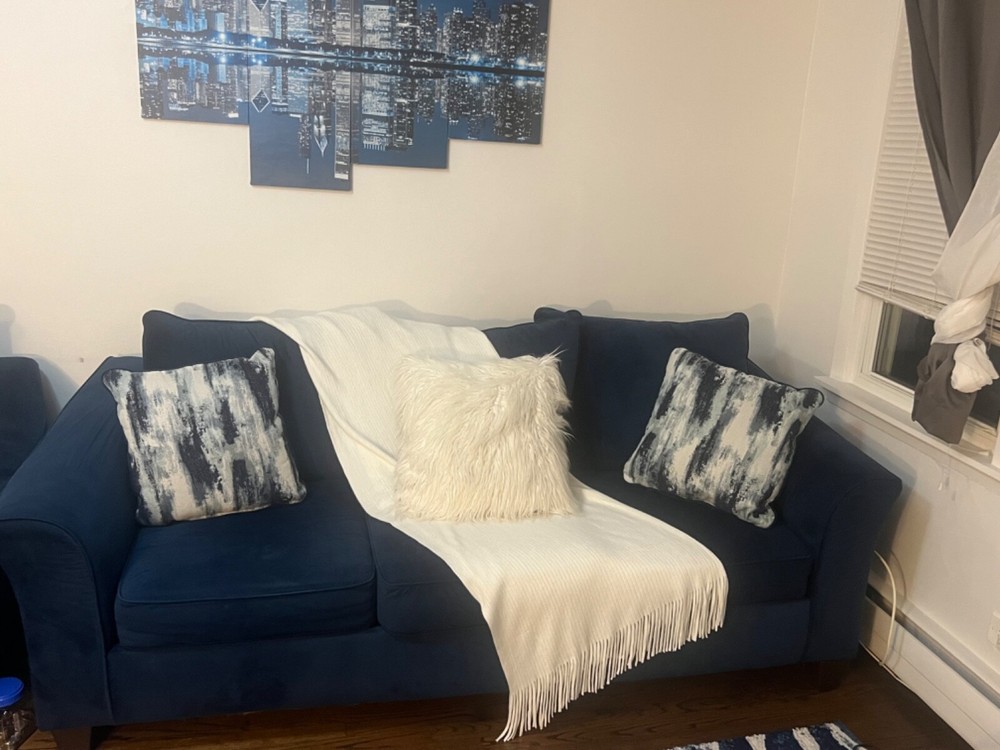 Navy blue couch & loveseat