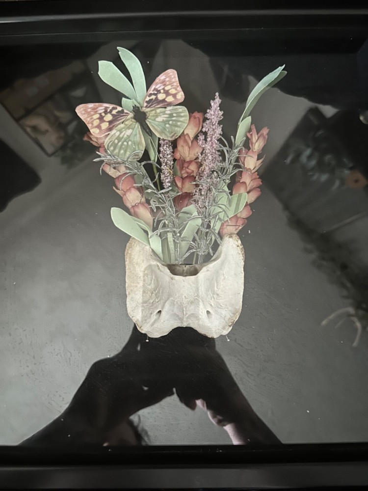 oddities bone shadow box art. Weird and Unique, strange. Flowers