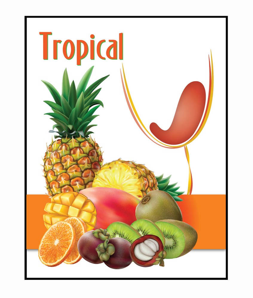 Home Brew Ohio Tropical Fruit Wine - Wine Labels