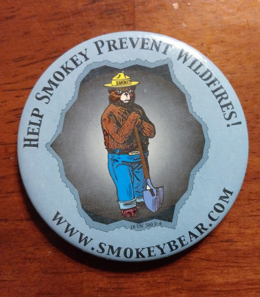 Smokey the Bear Help Prevent Wildfires Button Pin