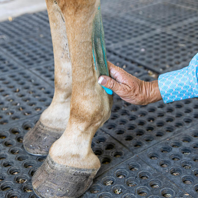 Vetericyn Mobility Liniment