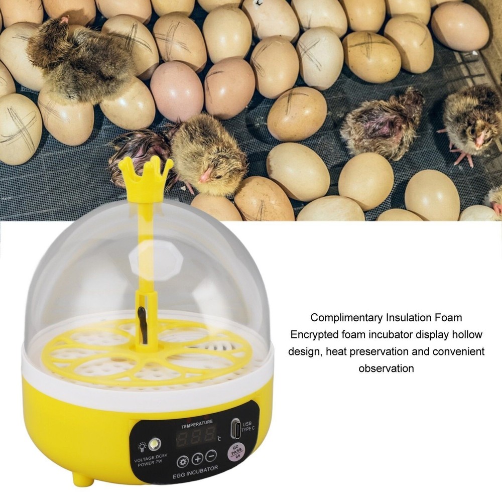 Mini Egg Incubator for Home Automatic Temperature Humidity Control 4 Eggs
