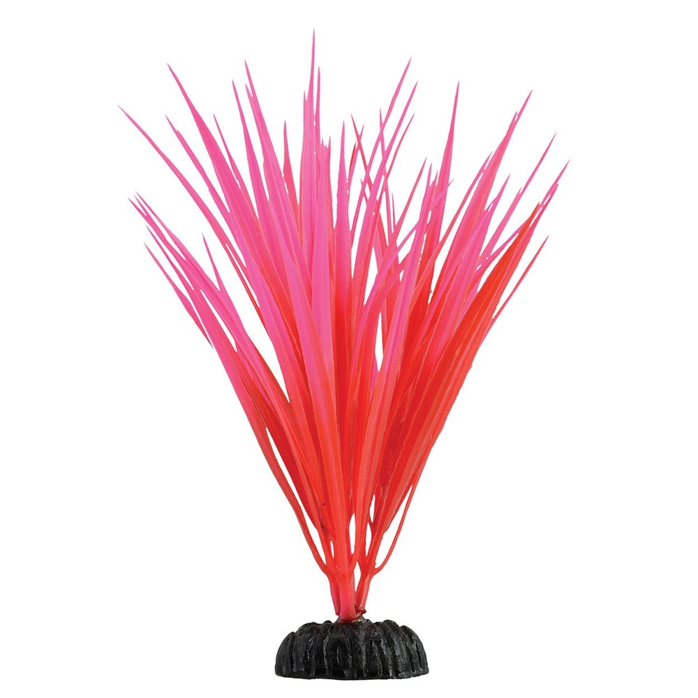 Underwater Treasures Rose Nile Grass