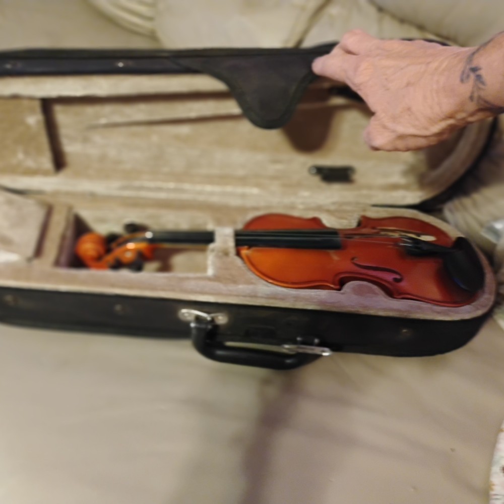 Cello That Did A Hard Case Velvet