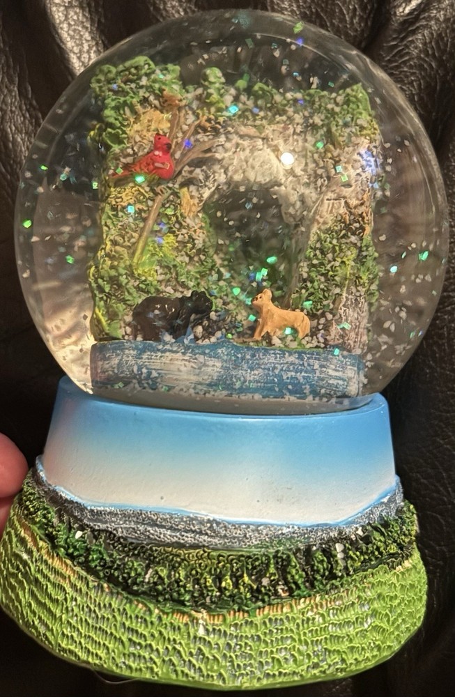 Natural Bridge Globe New In Really Good Condition