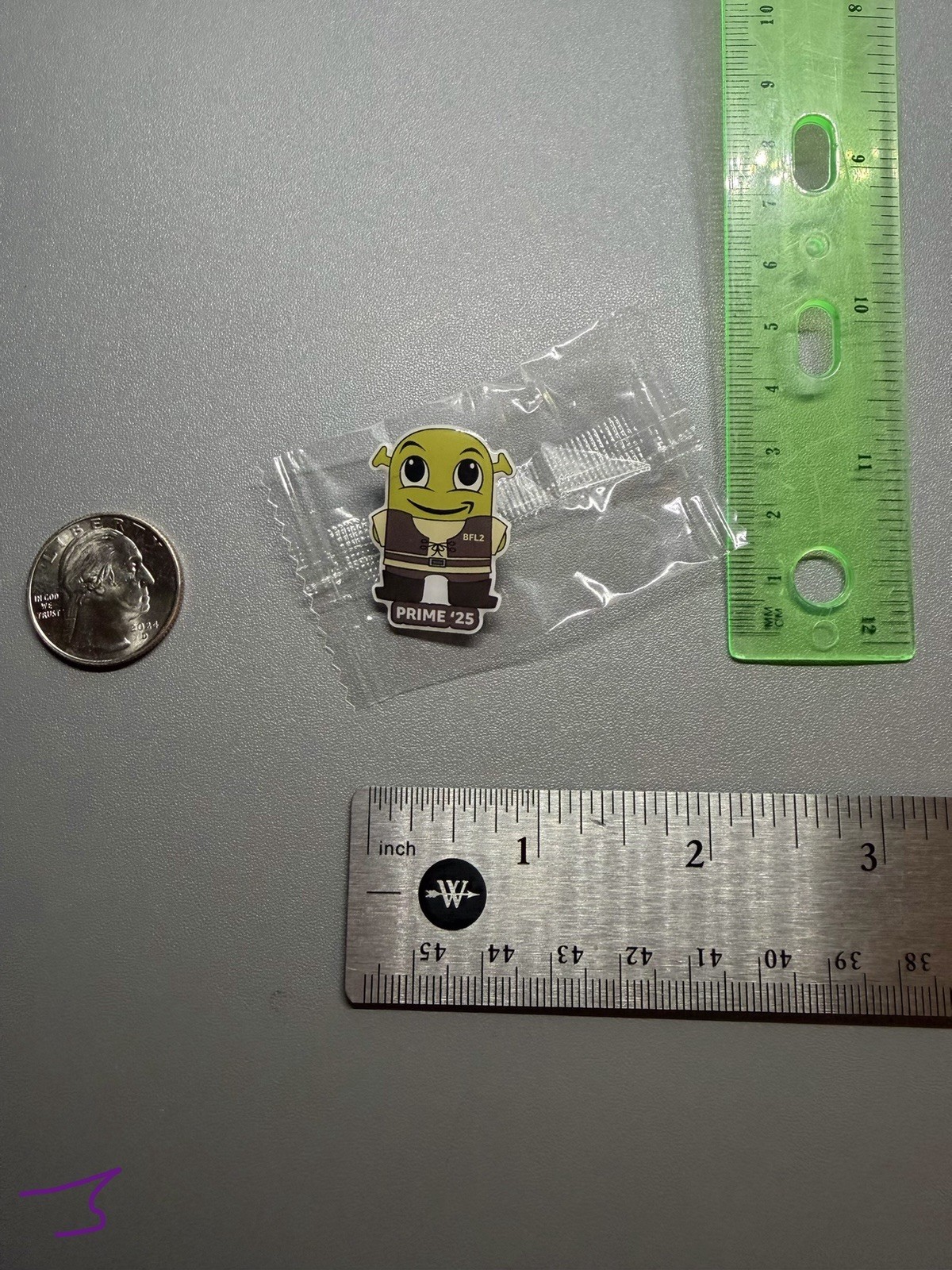 Amazon Peccy Pin BFL2 Exclusive Prime 2025 Shrek Employee Swag Hard Worker