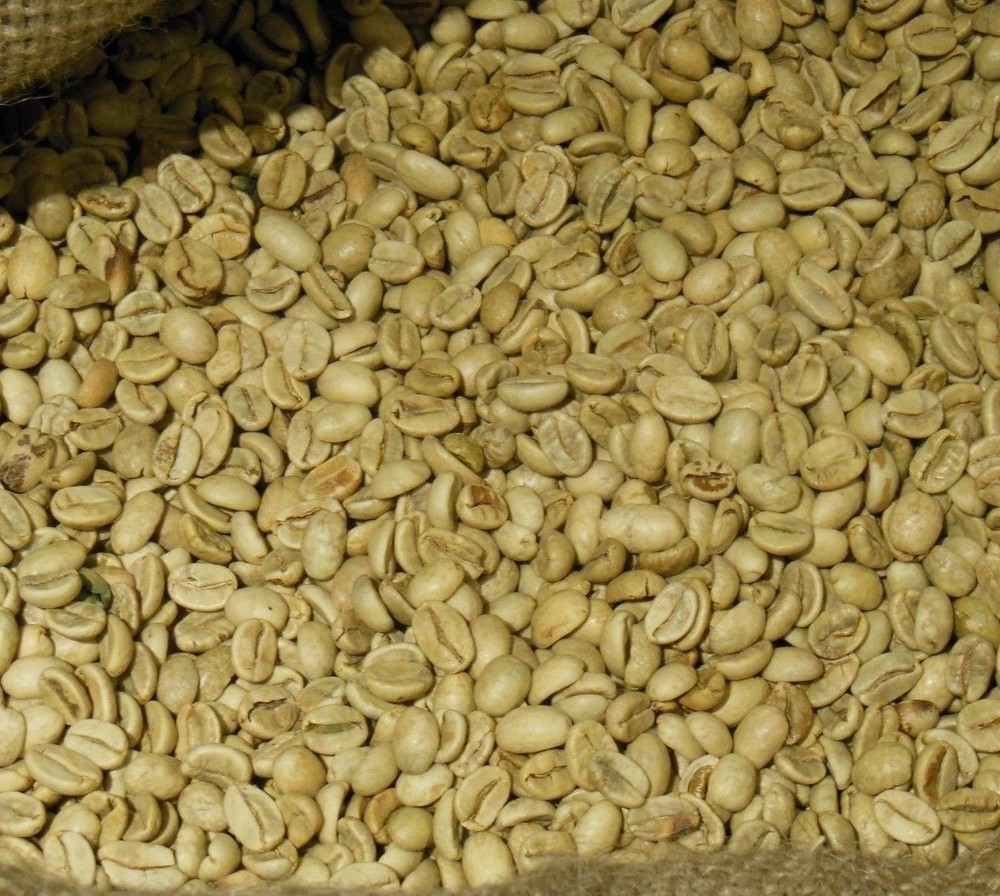 India Monsooned Malabar AA - Unroasted
