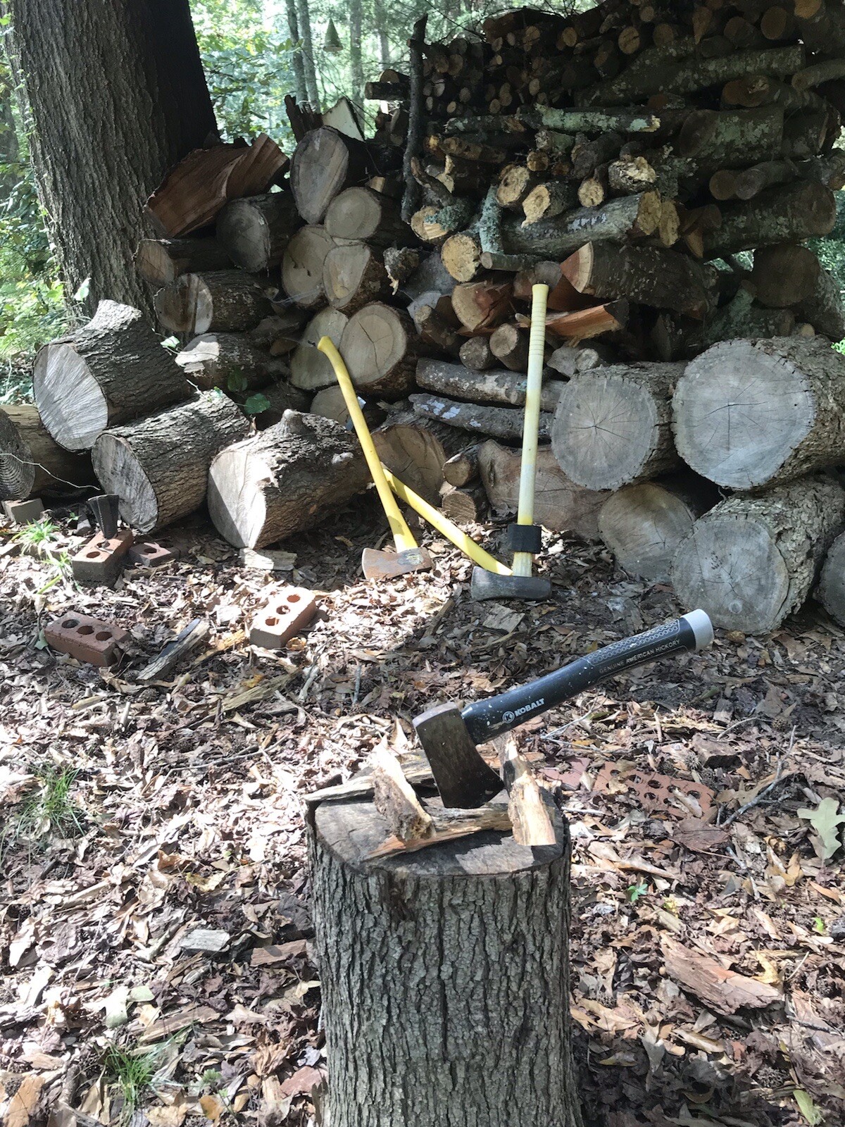 7 lbs Georgia Fatwood Natural Fire Starter Kindling. THE BEST!