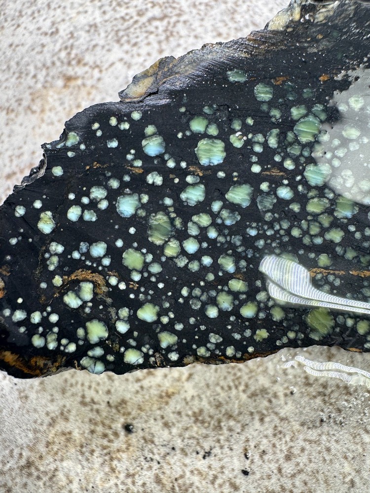 Natural Nevada Variscite rough star fox