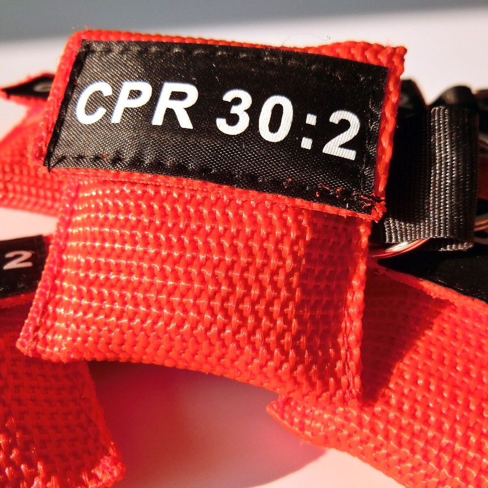 200 pcs First Aid CPR Mask CPR Face Shield CPR 30:2 Training Red