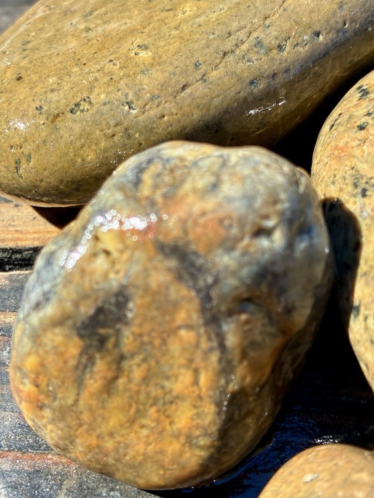 Rocks for Tumbling Lapidary Material Rough