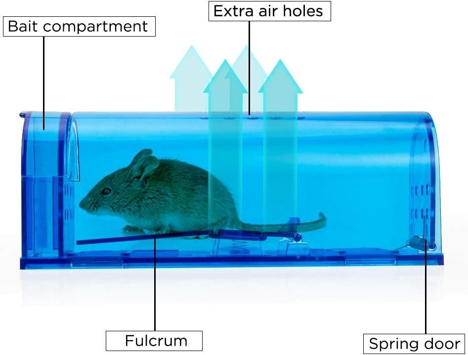 Humane Mouse Trap Catch and Release Mouse Traps That Work Mice Trap No Kill