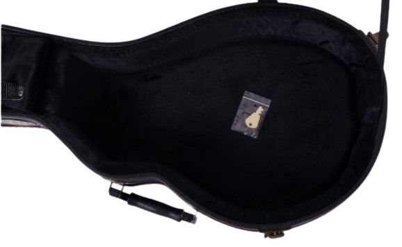 Brand New Durable Hard Case For Mandolin Lockable with Key