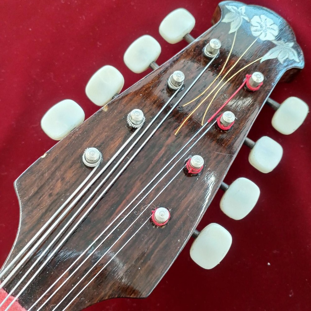 RAFFAELE CALACE NO.13 Mandolin