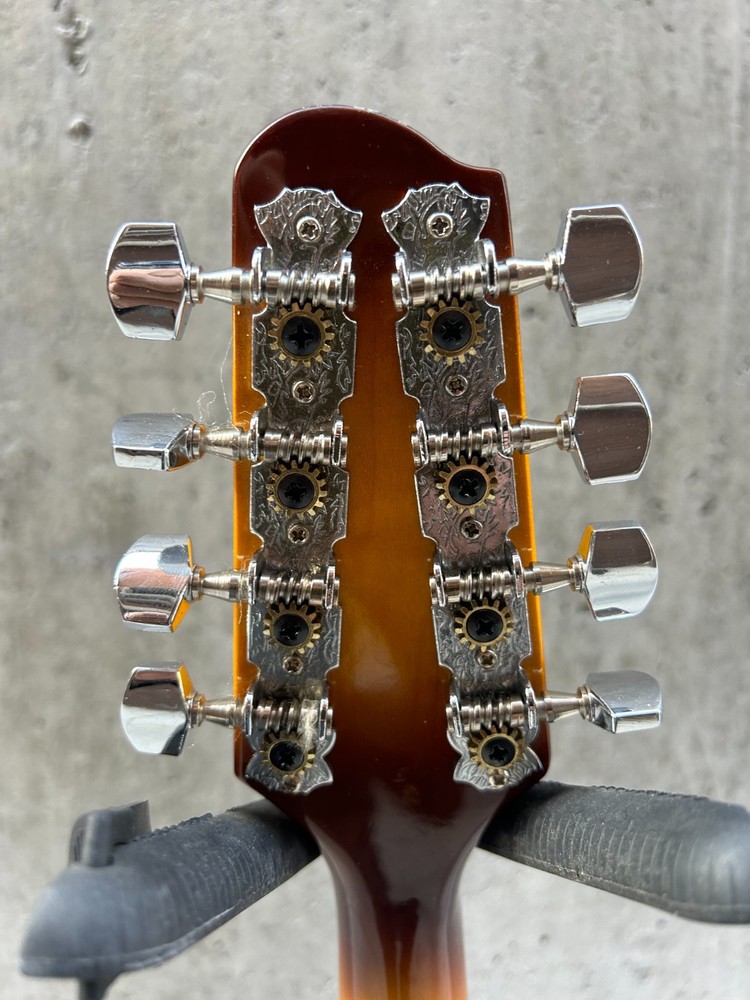 Savannah so-sa090-tsn Mandolin 8 string with Pickup (read)