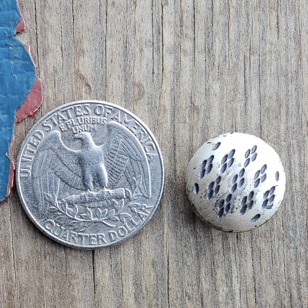 Vintage Raised Shank Black Dots Button 9/16"