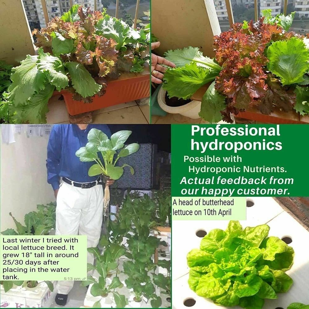Hydroponic nutrients, Solid Mixture, Makes 200 Liter hydroponic Solution