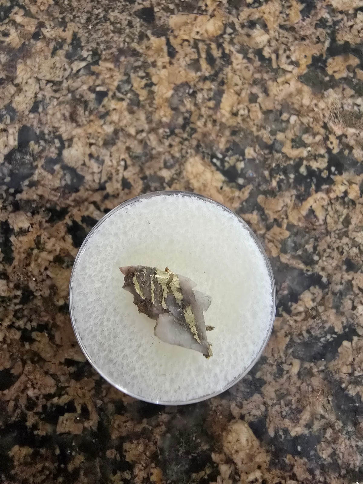 Natural California Gold & Quartz Specimen 0.84g High Purity Gold/Quartz Nugget