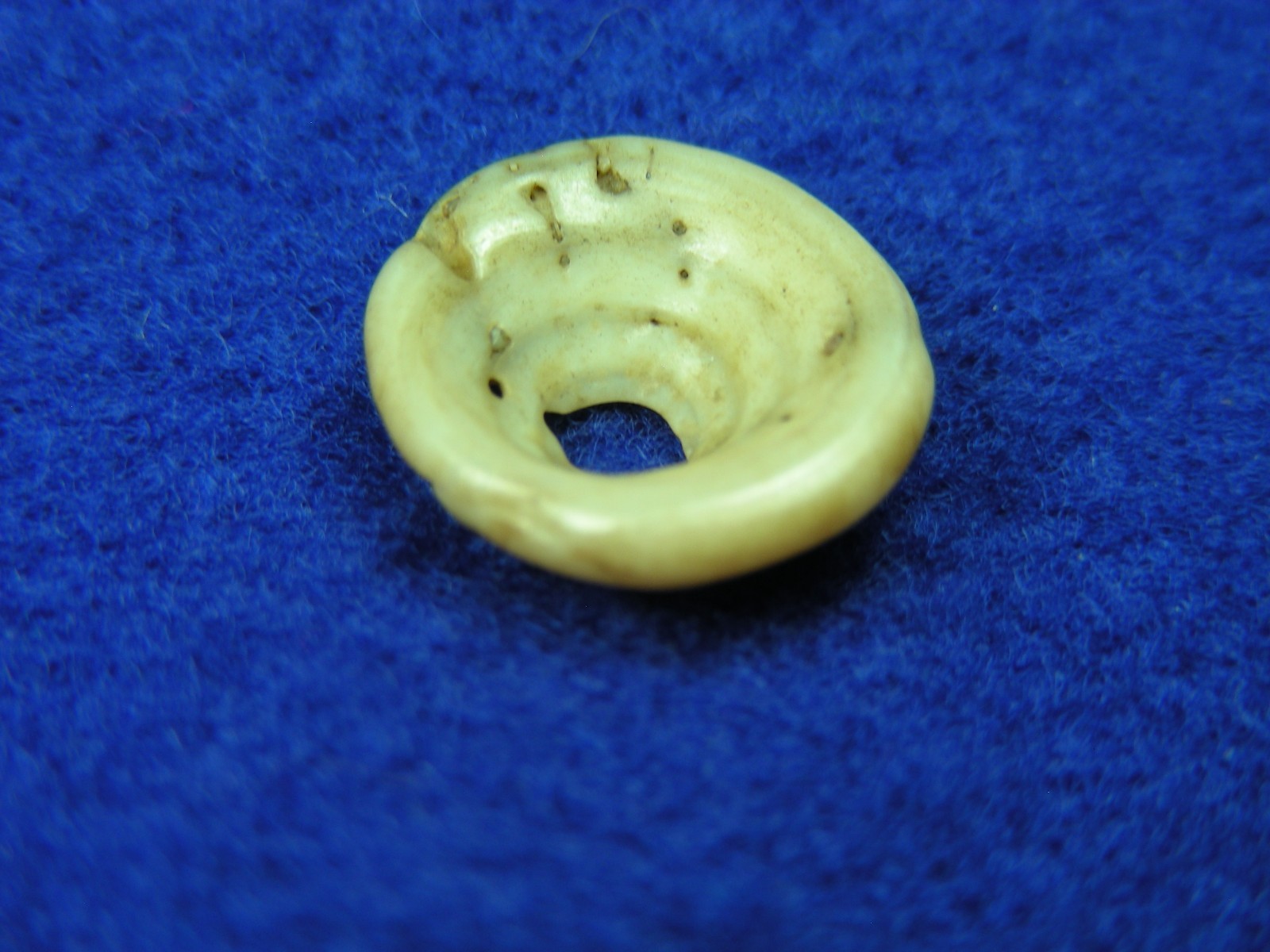 EXCELLENT DRILLED SHELL BEAD 11/16" TENNESSEE Authentic Indian Artifacts