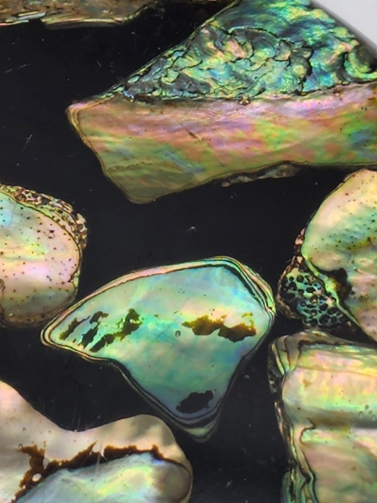 Vintage Trivet Lucite With Abalone Shell Round