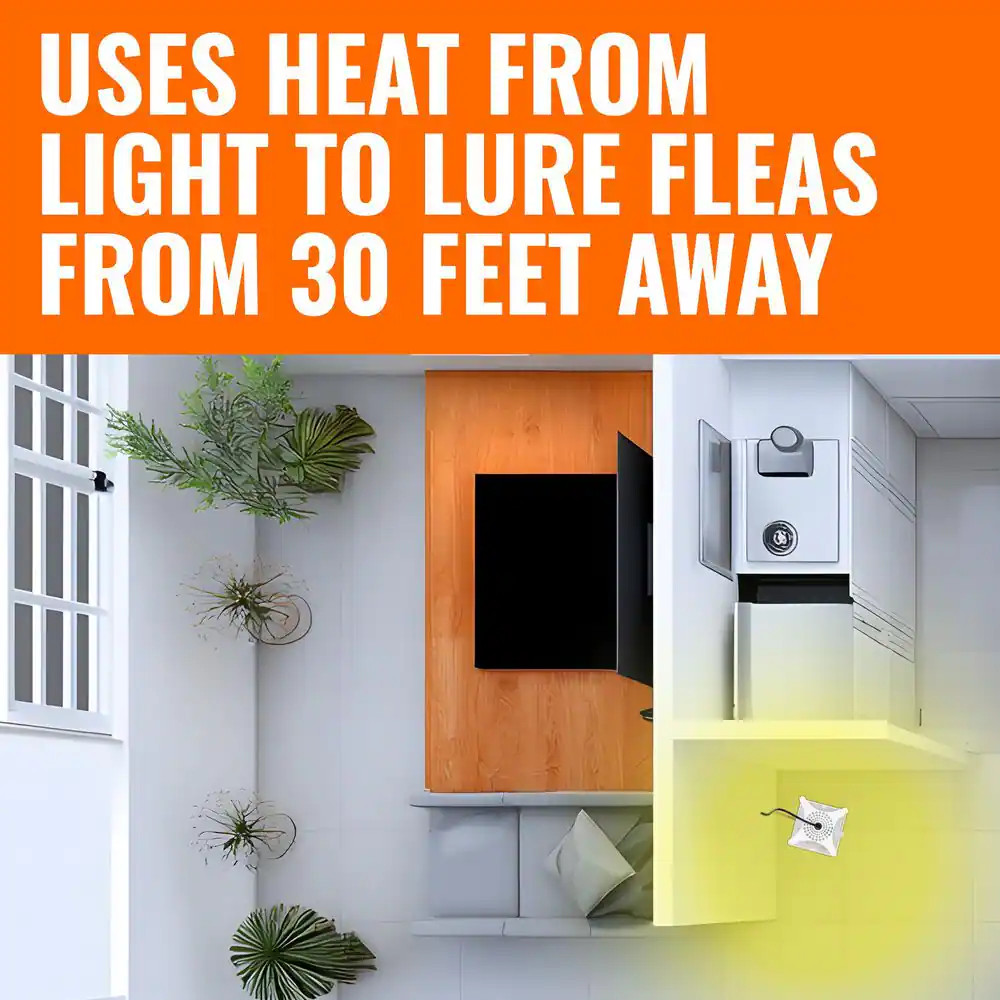 Refillable Flea Trap