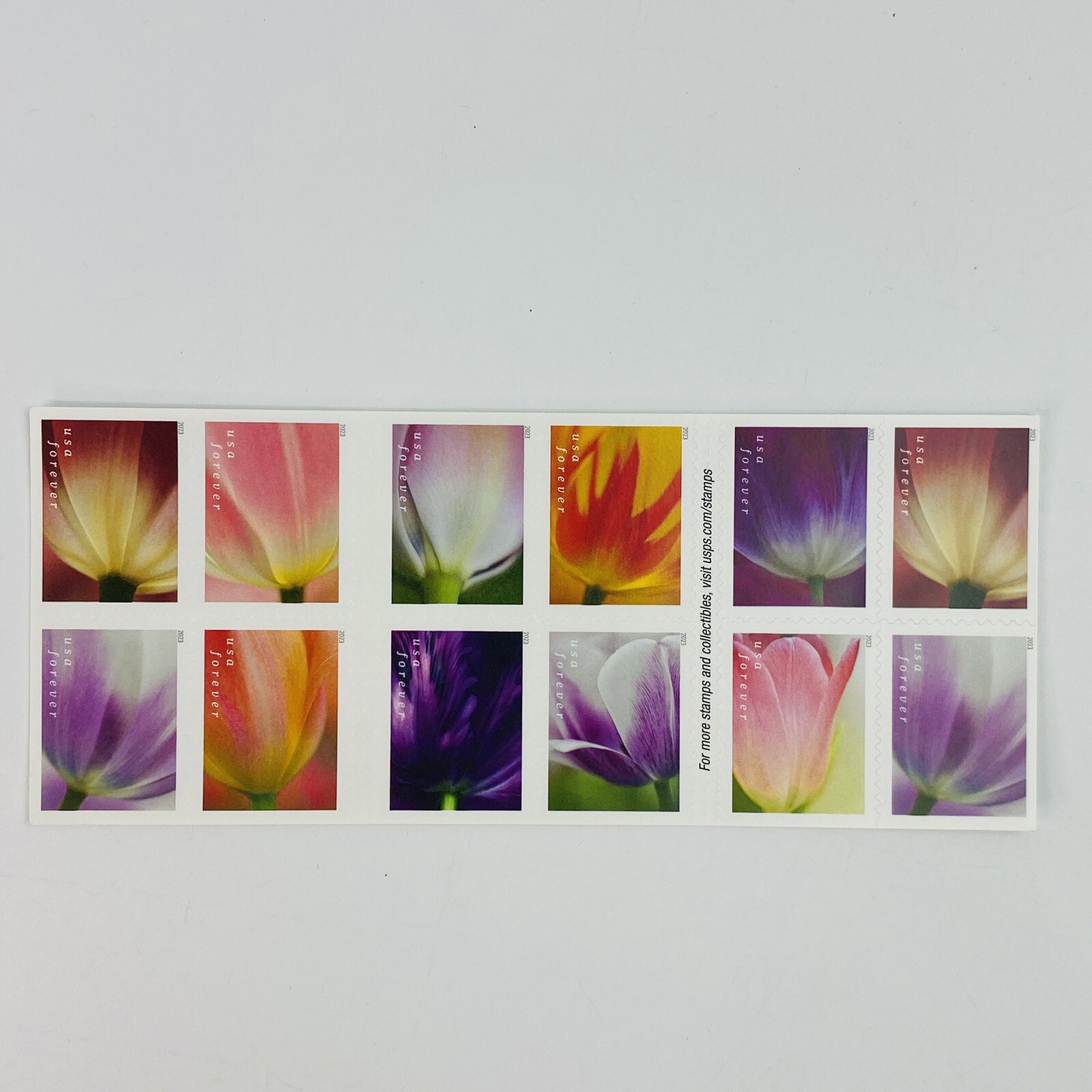 x20 Tulip Blossoms USPS First Class Forever Stamps Double Sided Booklet Of 20