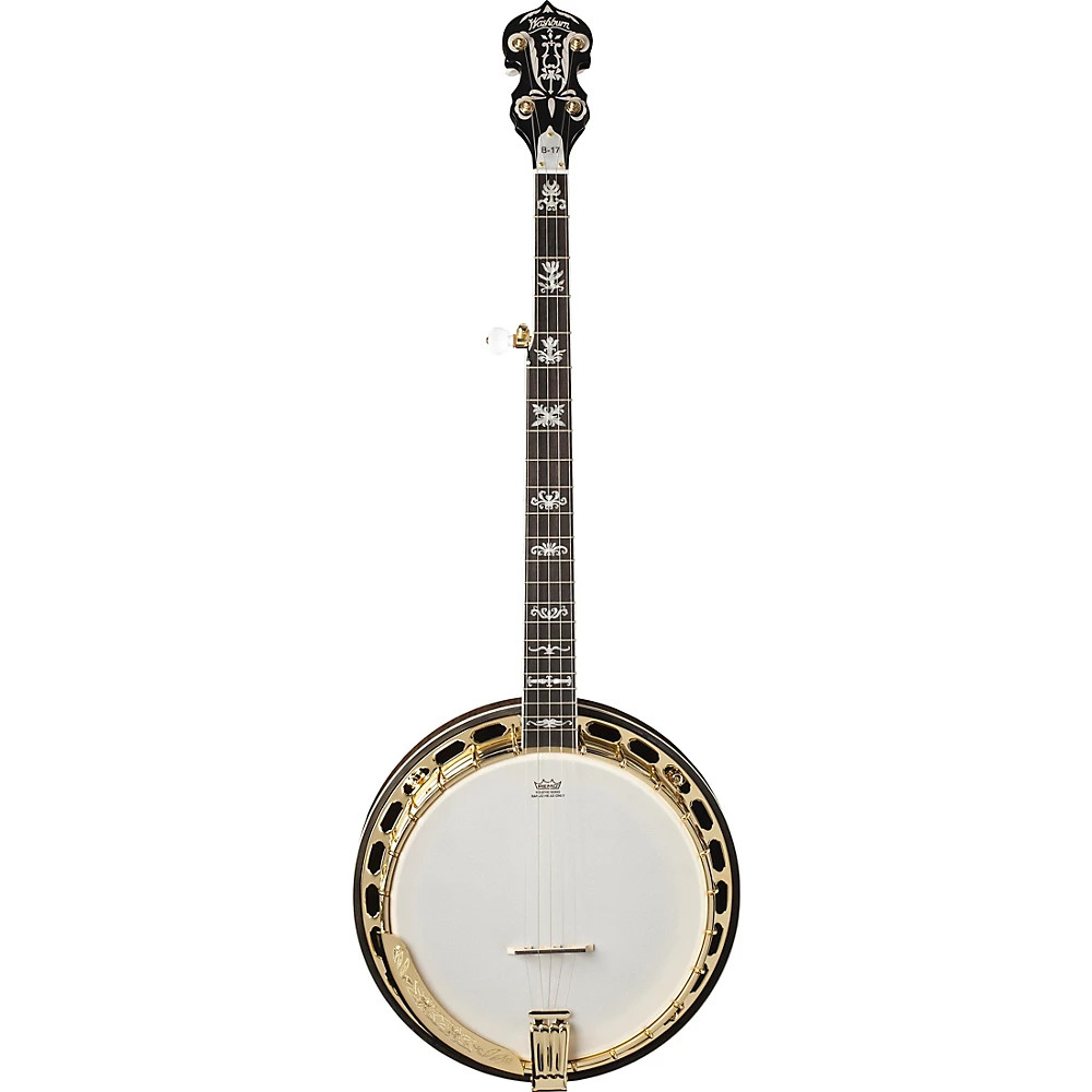 Washburn Sunburst 5-String Banjo
