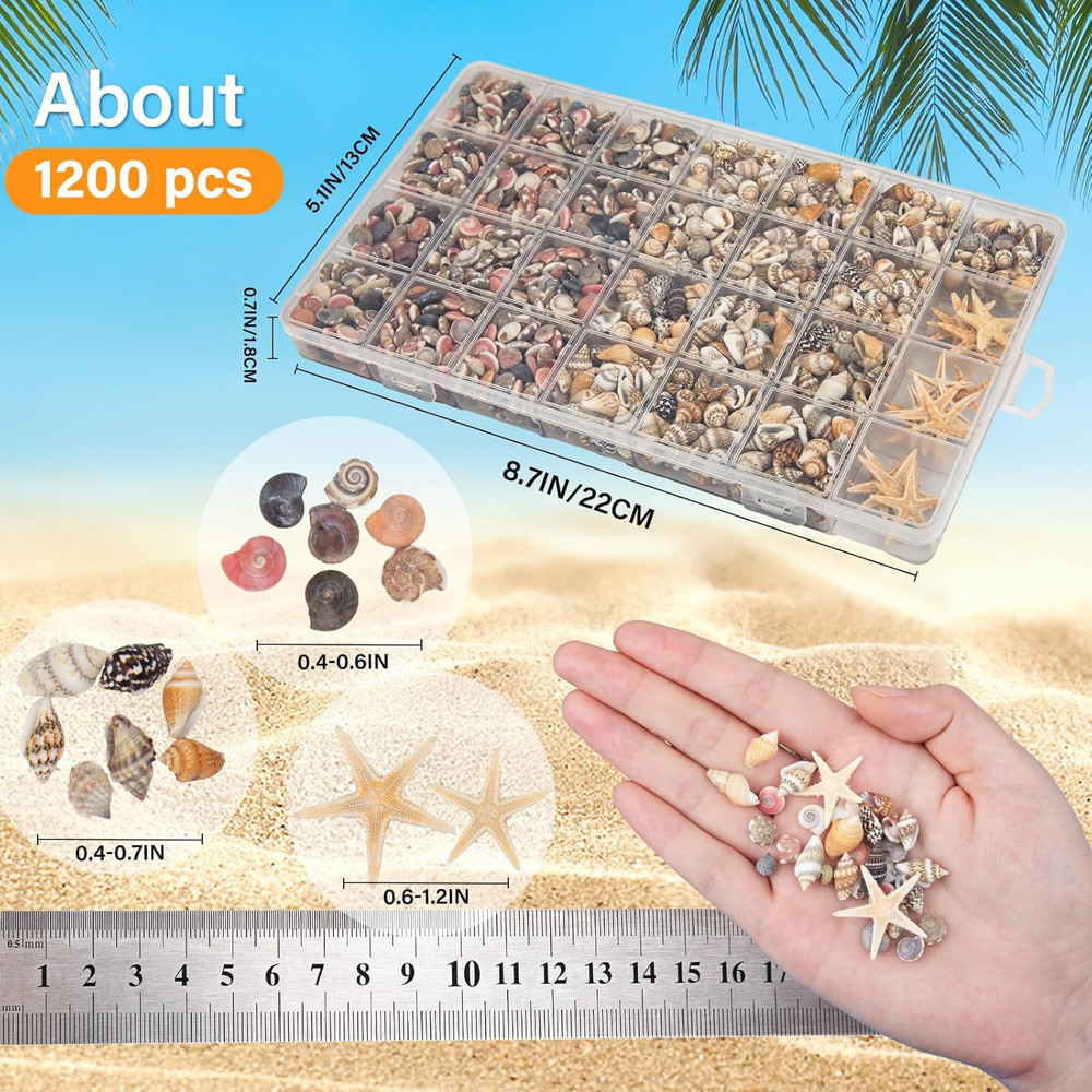 1200 PCS Tiny Seashells& 21 Starfish Mixed Bulk Beach Small Shells for Home Deco
