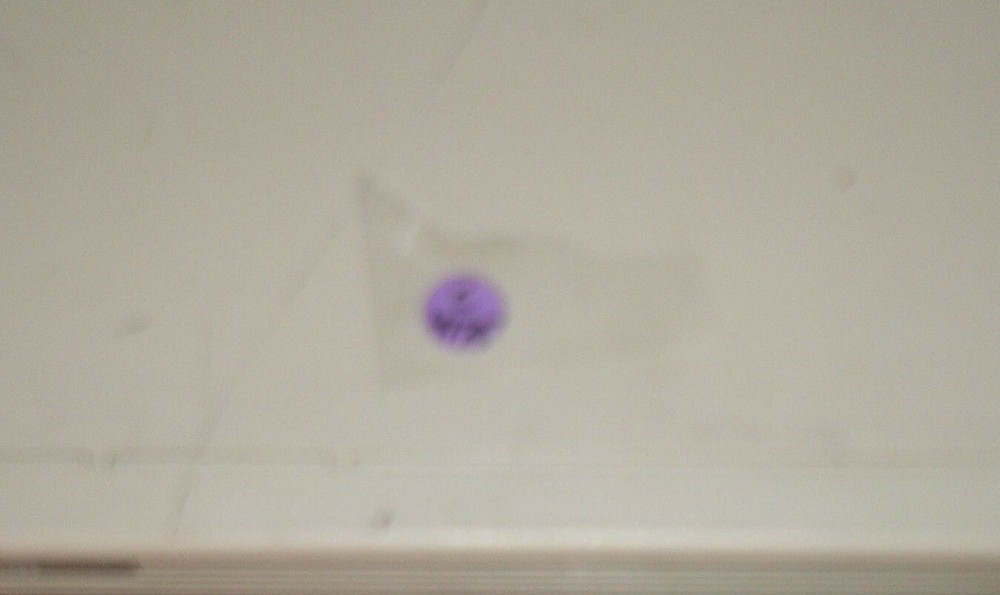 HP Ether Twist Hub 28684A EtherTwist