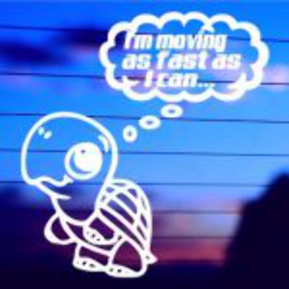Im Moving As Fast As I Can Vinyl Decal