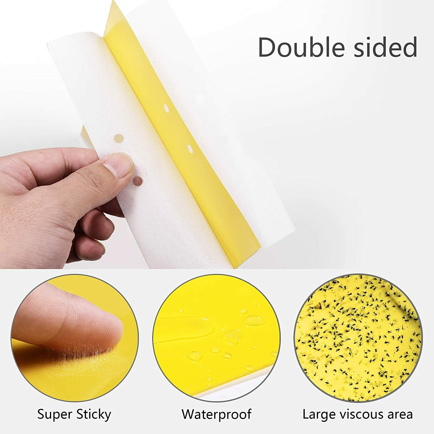 20Pcs Sticky Fly Trap Paper Yellow Traps Fruit Flies Insect Glue Catcher USA