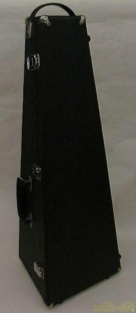 Tsuneo Fujimaru ARTIST Mandolin
