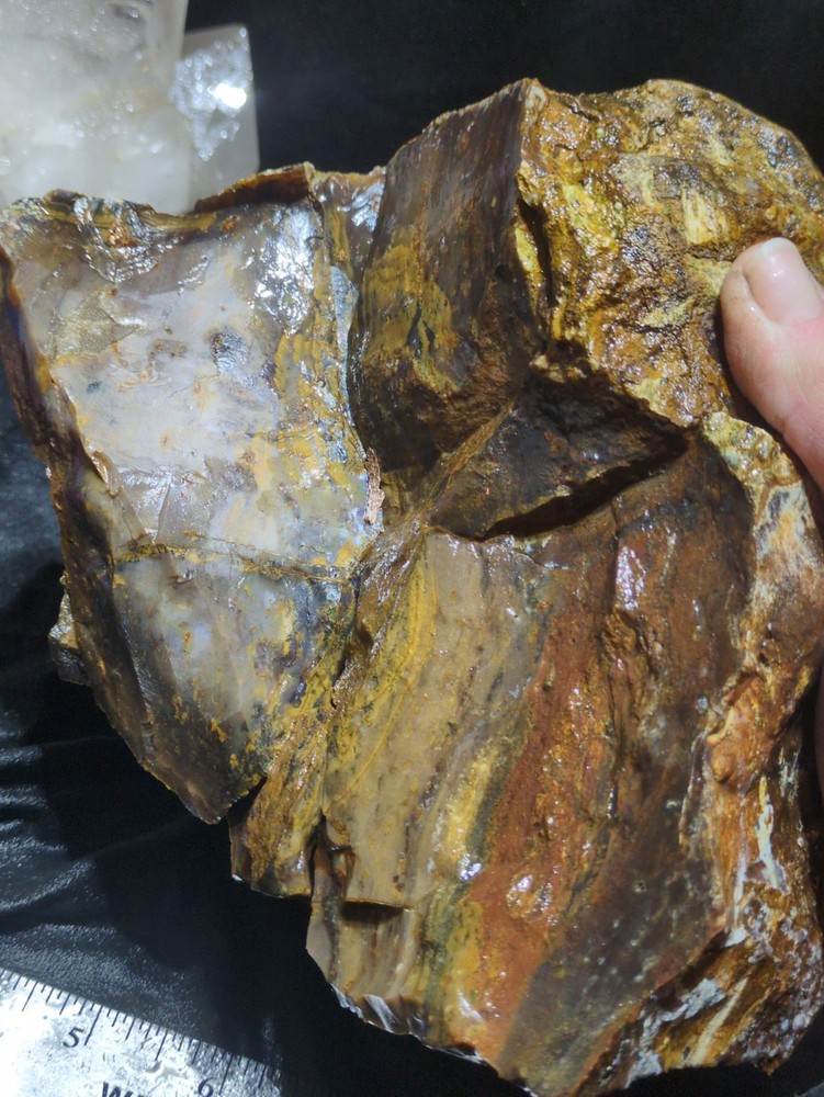 Biggs Jasper Specimen w/ Dendric Natural Form (7lbs 12oz)